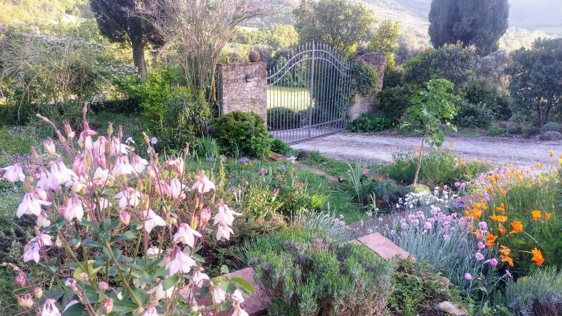 Mimosa At Pietraie A Nice Studio With Terrace On The Valley Montecastelli Pisano 0*,